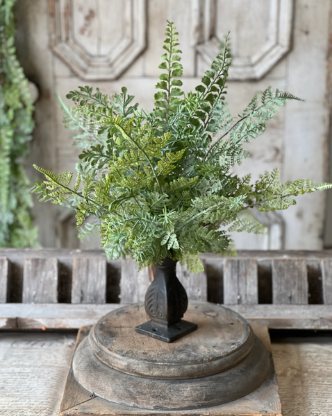 Understory Fern Collection (2 styles)