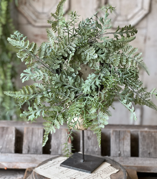 Understory Fern Collection (2 styles)