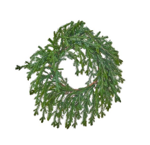 Weeping Noble Fir Collection (2 pieces)