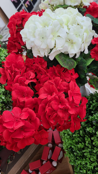 Geranium Bush (Two Colors)