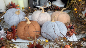 Fabric Harvest Pumpkin (Multiple Colors)