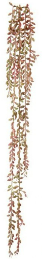 Real Touch Succulent Seed Vine (Multiple Colors)