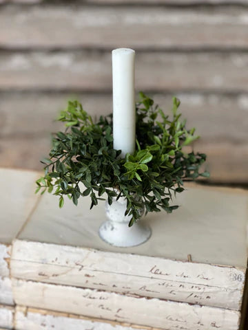 New England Boxwood Collection
