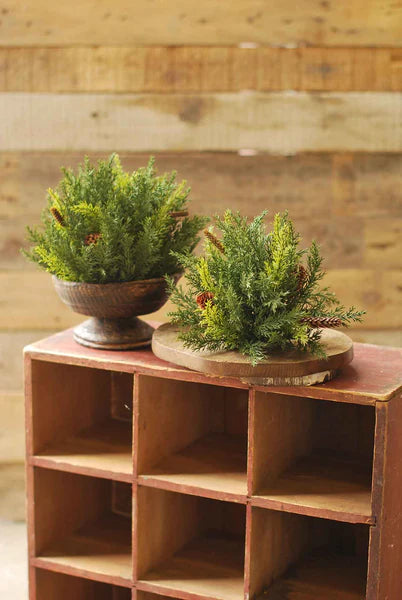 Prickly Pine {True Green} Collection