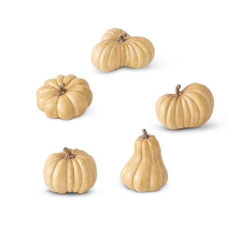 Squatty Resin Pumpkin (Gold or White & Multiple Styles)