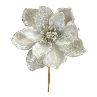 Magnolia Stem
