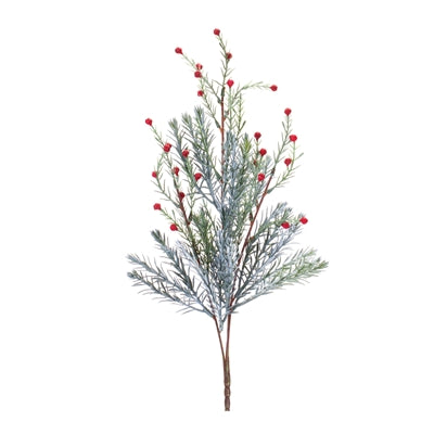 Pine Branch with Red Berries (2 sizes)