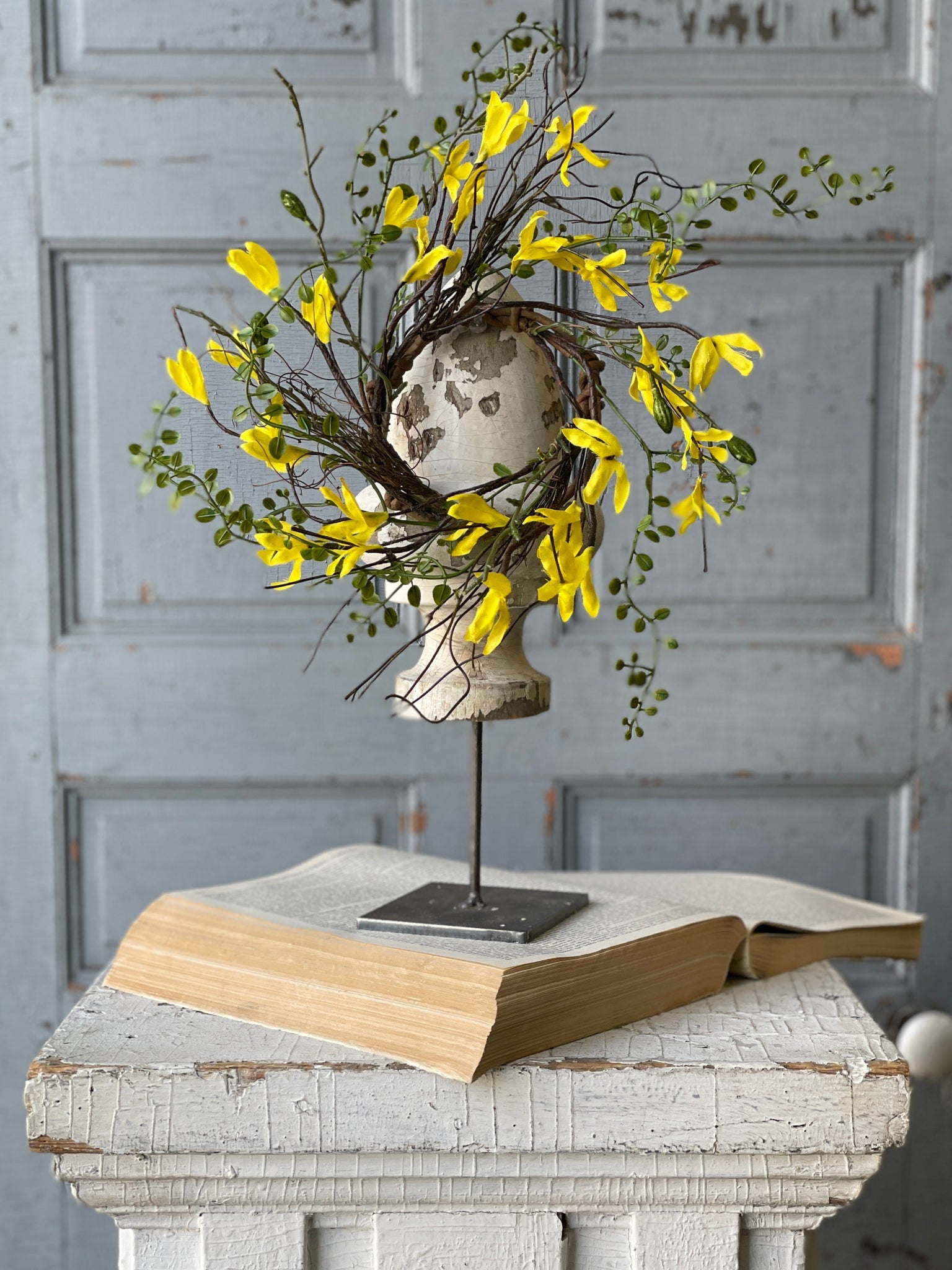 First Blooms Forsythia Collection