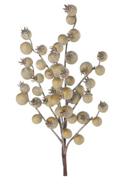 Sage Crabapple Spray