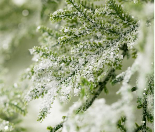 Frosted Fern/Cone Greenery Collection