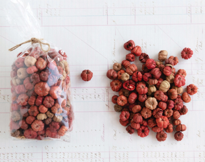 Dried Small Pumpkins in Bag