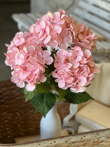 23" | Encore Hydrangea Bush (Multiple Colors)