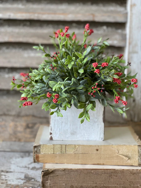 Nottingham Berry Collection- (red)