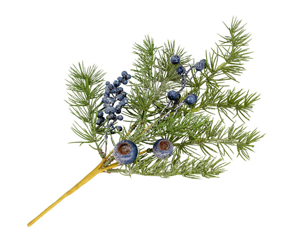 Blueberry Cypress Greenery Collection