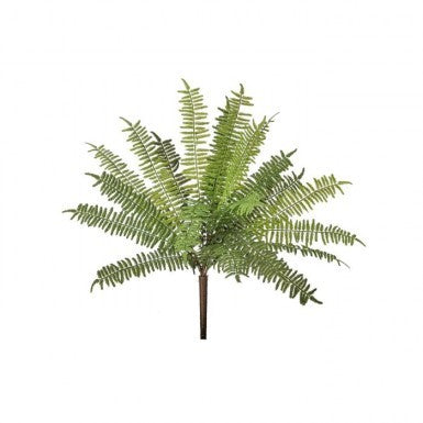 Natural Touch Forrest Fern
