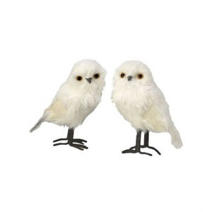 White Feathered Owl (Multiple Options)