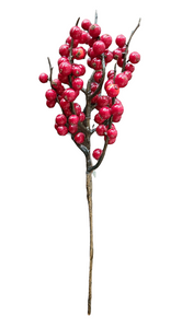 Winterberry Pick