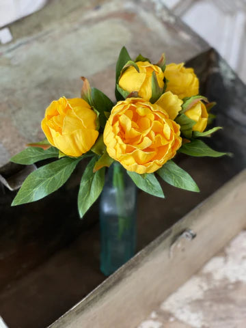 {Blooming} Peony Bundle | Multiple Colors
