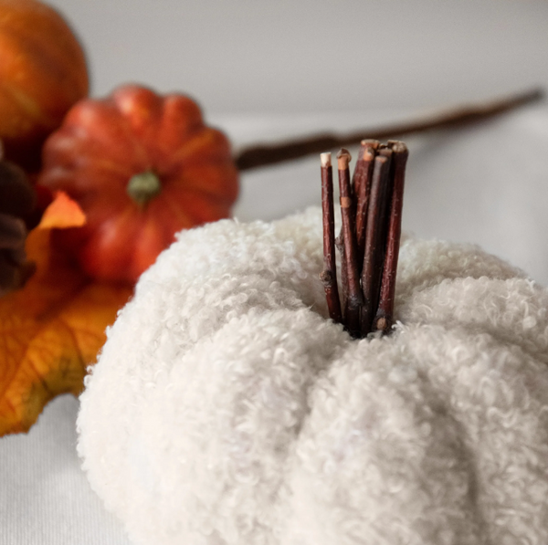 Beige Teddy Cloth Pumpkin | 5"