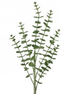 Glitter Eucalyptus Spray