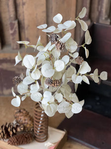 Ethereal Eucalyptus Collection