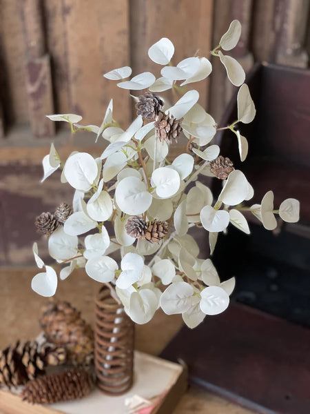 Ethereal Eucalyptus Collection