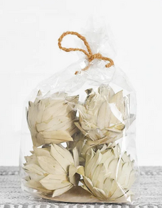 Dried Artichokes (Bag of 5)