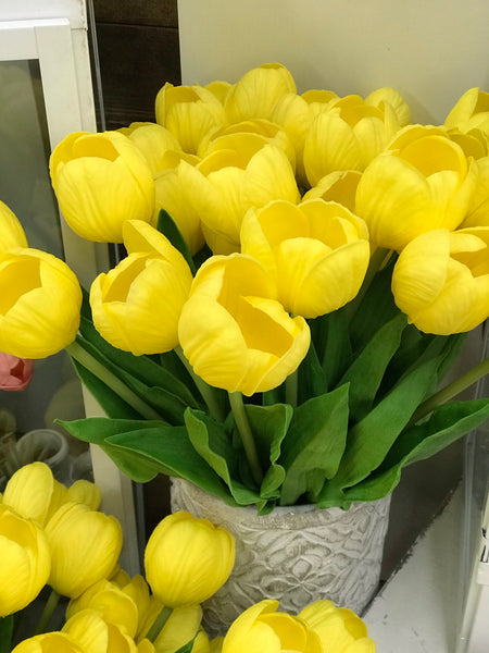 Tulips: 5 Bundle (Multiple Colors)