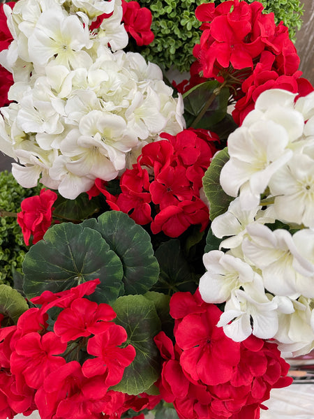 Geranium Bush (Two Colors)