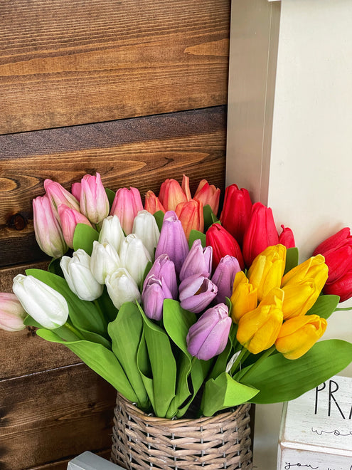 Bloom 25