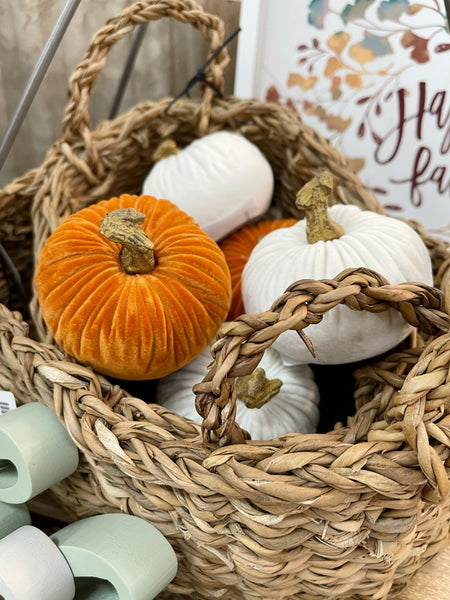 Velvet Pumpkin