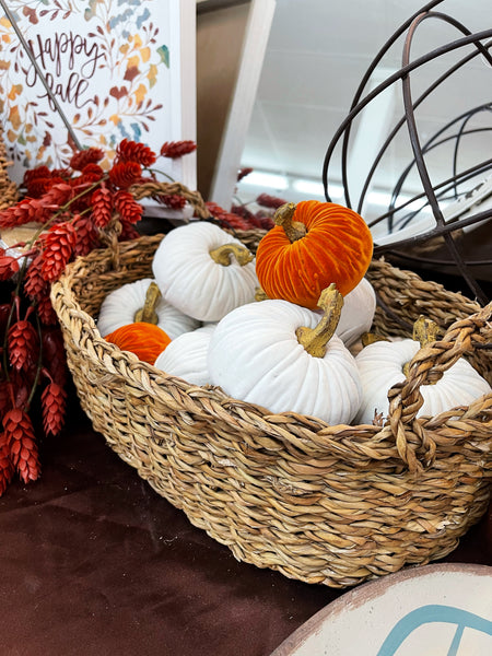 Velvet Pumpkin