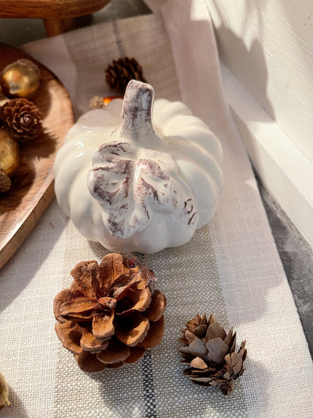 Cream Pumpkin