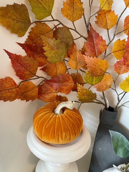 Velvet Pumpkin