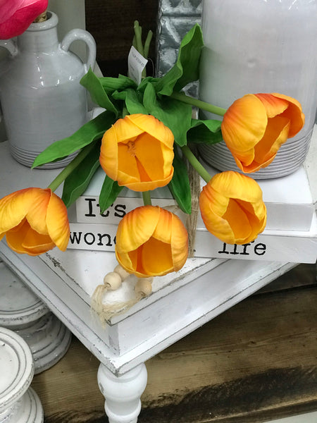 Tulips: 5 Bundle (Multiple Colors)