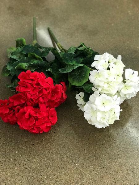Geranium Bush (Two Colors)