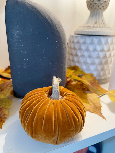 Velvet Pumpkin