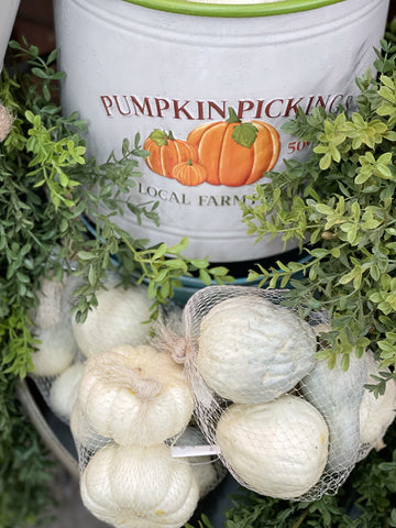 Teal/Cream Pumpkin Mix