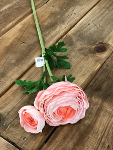 Fresh Touch Light Coral Open Ranunculus