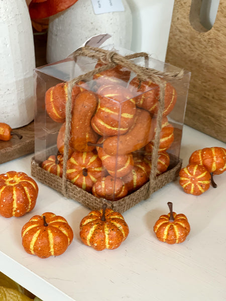Box of Assorted Pumpkins & Gourds