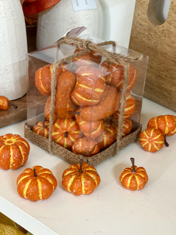 Box of Assorted Pumpkins & Gourds