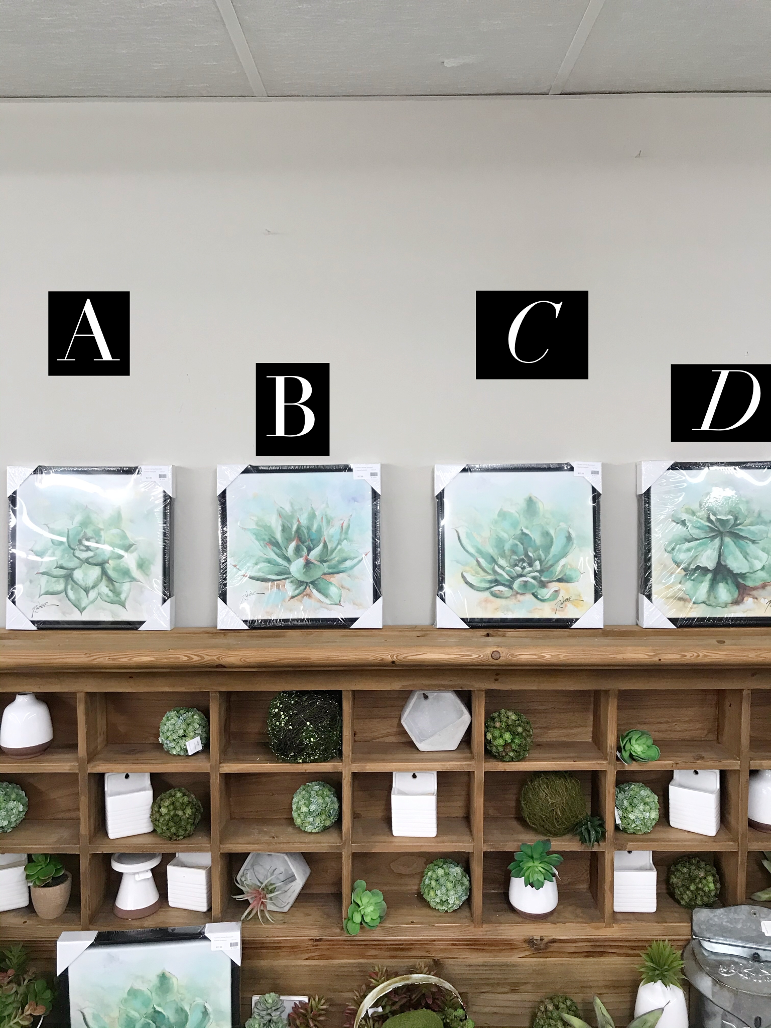 Framed Succulent Canvas