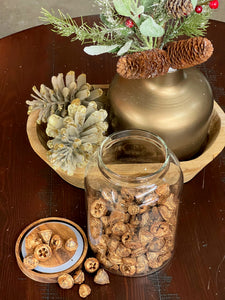 Dried Eucalyptus Pods