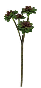 Tall Succulent Pick X 4